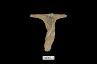 藏品(丁蠣)的圖片